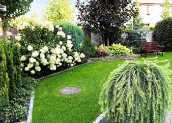 Wykonaj ogród, aby zazdrościli Ci sąsiedzi