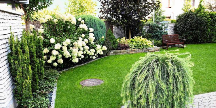 Wykonaj ogród, aby zazdrościli Ci sąsiedzi