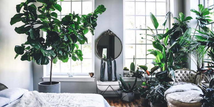 Jak urządzić sypialnię w stylu urban jungle?