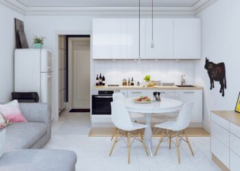 salon z aneksem kuchennym