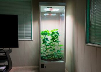 Dlaczego warto korzystać z Maxgrowshop?