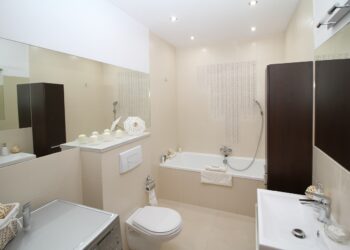 Kostki do WC – niezbędny element w każdej toalecie