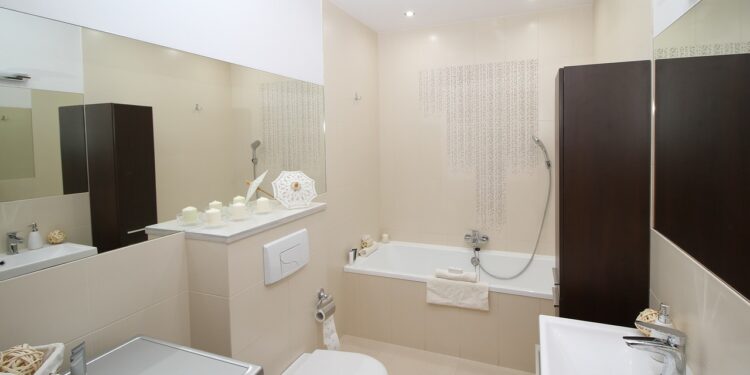 Kostki do WC – niezbędny element w każdej toalecie