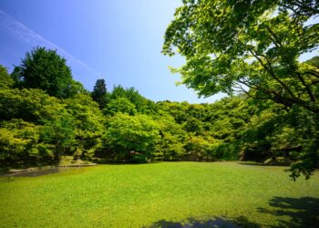 Profesjonalny sprzęt ogrodniczy niezbędny do letniej pielęgnacji ogrodu