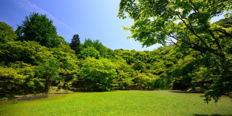 Profesjonalny sprzęt ogrodniczy niezbędny do letniej pielęgnacji ogrodu