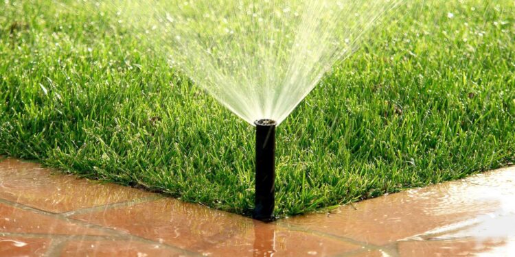 system nawadniania ogrodu