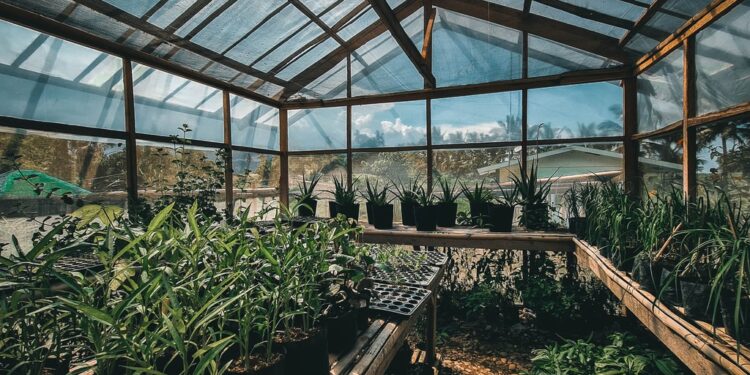 Jak wybrać szklarnie ogrodowe? 5 porad