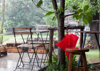 Usuwanie szkód wyrządzonych przez wiatr i deszcz w ogrodzie