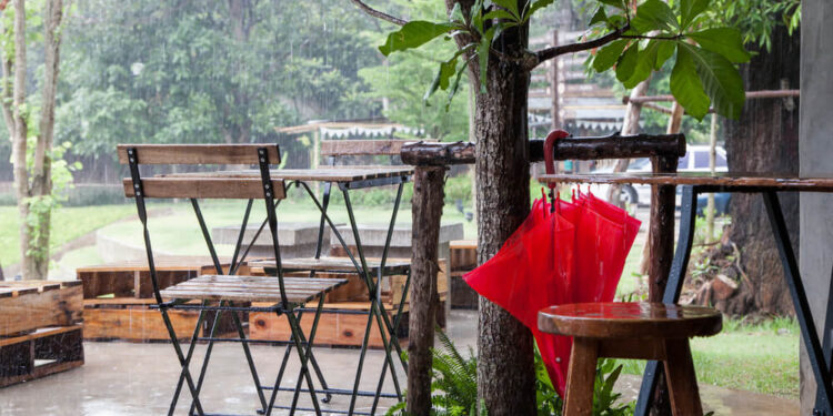 Usuwanie szkód wyrządzonych przez wiatr i deszcz w ogrodzie