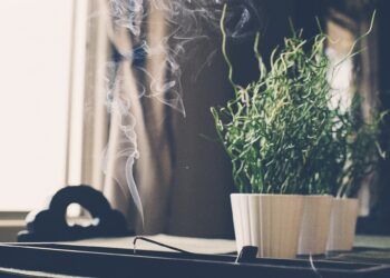 Co zrobić, żeby w domu ładnie pachniało? Poradnik