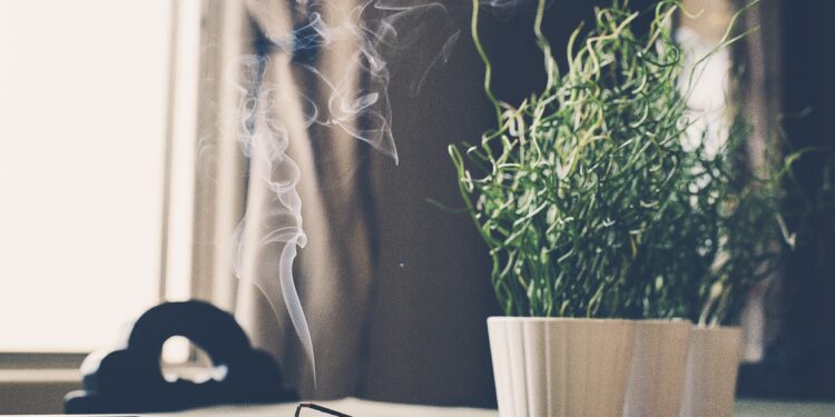 Co zrobić, żeby w domu ładnie pachniało? Poradnik