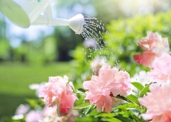 Jakie akcesoria do nawadniania powinny znaleźć się w każdym ogrodzie?