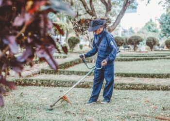 Kosa spalinowa – co powinieneś o niej wiedzieć?