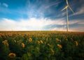 Ile zarabiają monterzy instalacji fotowoltaicznych?