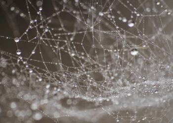 Osuszanie ścian pomoże pozbyć się wilgoci?