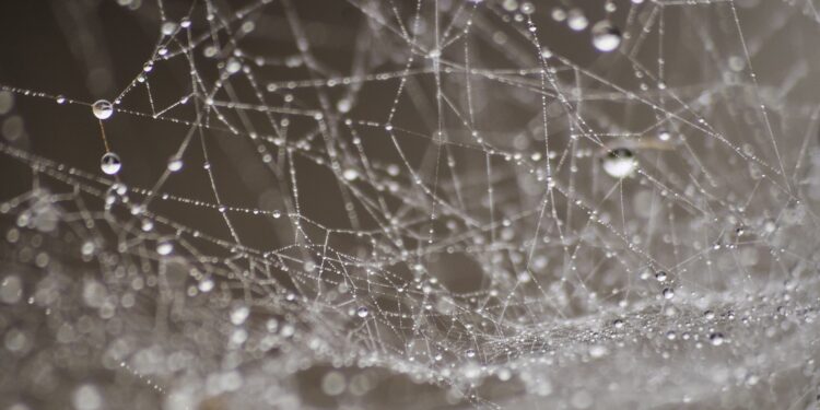 Osuszanie ścian pomoże pozbyć się wilgoci?