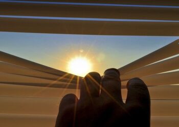 Dlaczego warto mieć rolety plisowane?