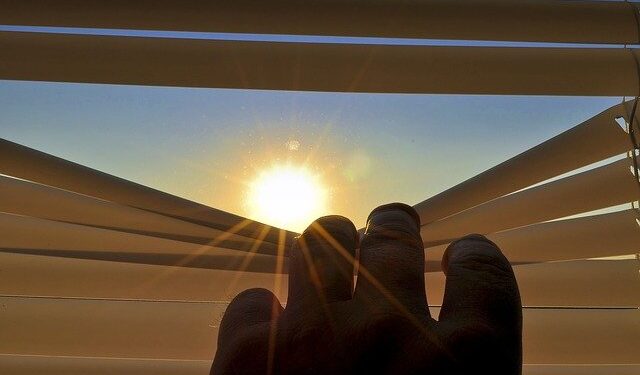 Dlaczego warto mieć rolety plisowane?