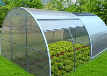 Czy warto kupić szklarnię z poliwęglanu?