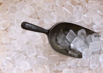 Komu przyda się lodówka Side by Side z kostkarką w drzwiach?