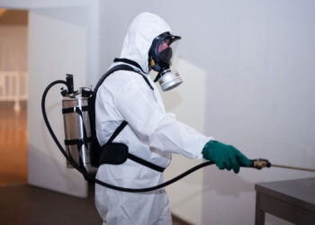 Usługi DDD – na czym polegają? Kto je oferuje?