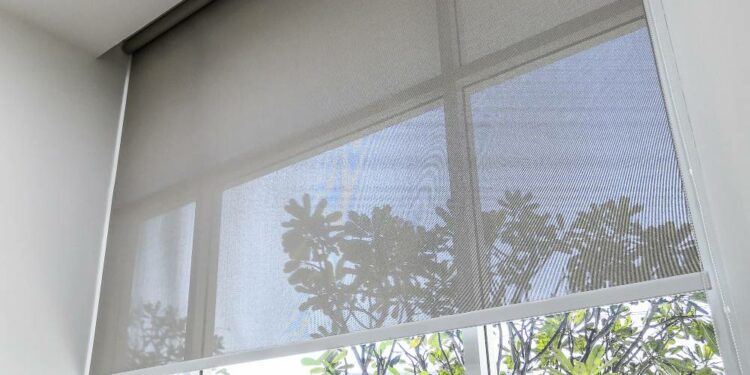 rodzaje rolet wewnętrznych