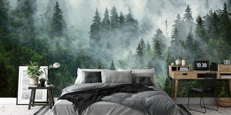 fototapeta Las we mgle