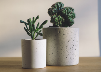 Jak dobrać doniczkę do kwiatka