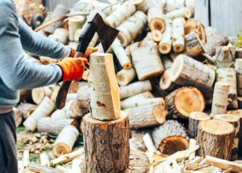 Jaką siekierę do drewna wybrać