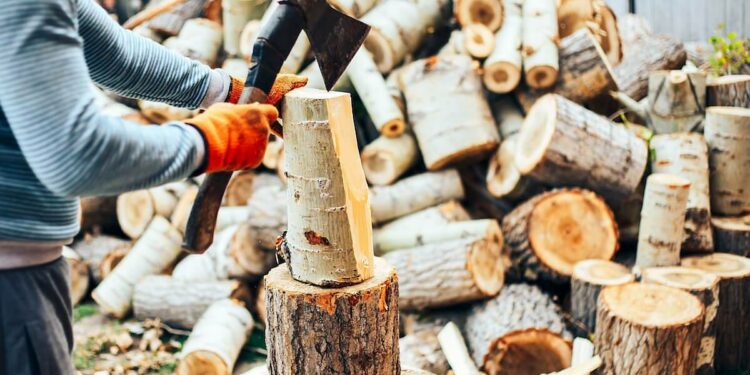 Jaką siekierę do drewna wybrać