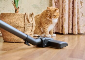 Vacuum cleaner with a turbo brush