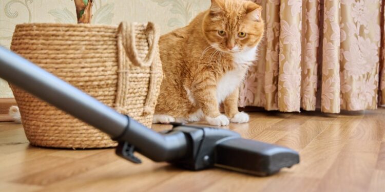 Vacuum cleaner with a turbo brush