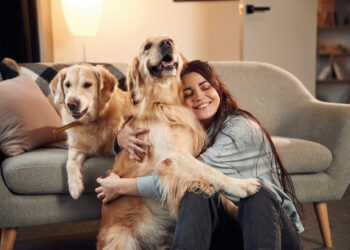 wnętrza przyjazne zwierzętom