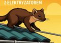 Zabezpiecz dom przed kunami: dlaczego warto zainwestować w zestaw rynnowy z elektryzatorem? 5