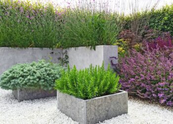 Trwałość, estetyka i ekologia – 5 powodów, dla których warto wybrać donice betonowe 8
